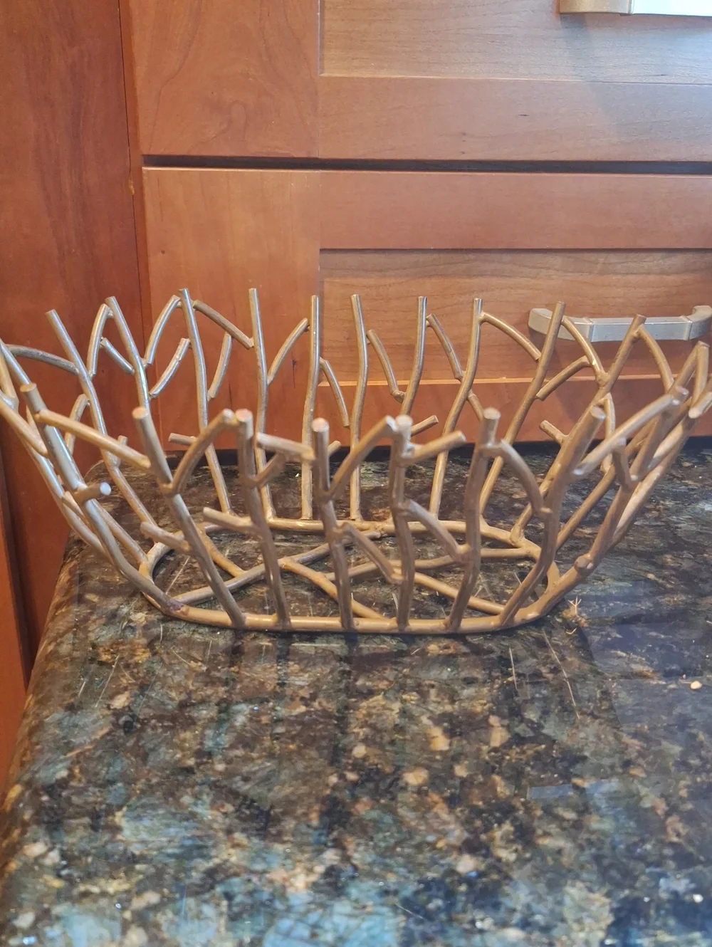 Decorative  Heavy Metallic Branch Fruit Bowl - Brown Tone